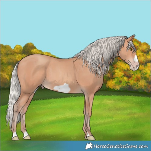 Horse Color:Silver Amber Champagne Frame