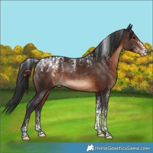 Horse Color:Powder White Brown 