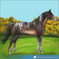 Horse Color:Powder White Brown 