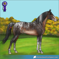 Horse Color:Powder White Brown