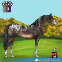 Horse Color:Powder White Brown 