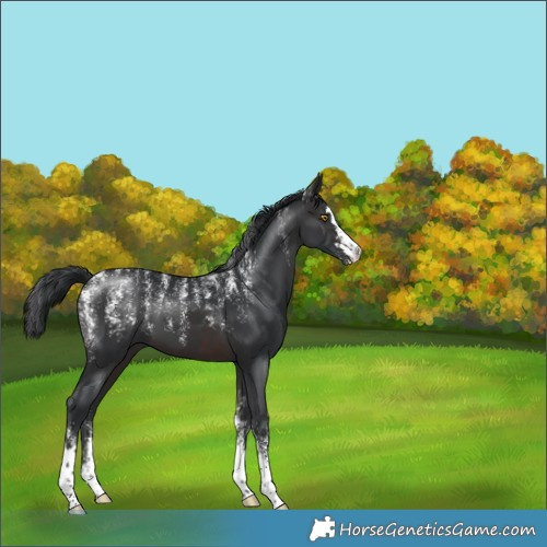 Horse Color:Powder White Brown 