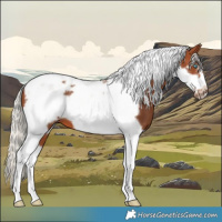 Horse Color:Silver Brown Tobiano Frame