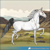 Horse Color:White Spotted Brown Dun Tobiano