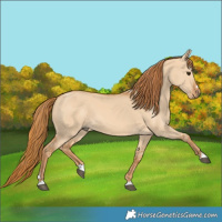 Horse Color:Red Dun 