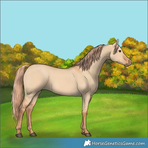 Horse Color:Red Dun 