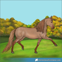 Horse Color:Red Dun