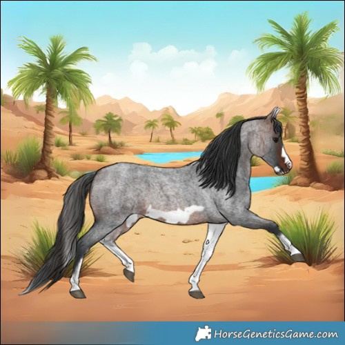 Horse Color:White Spotted Brown Roan Frame