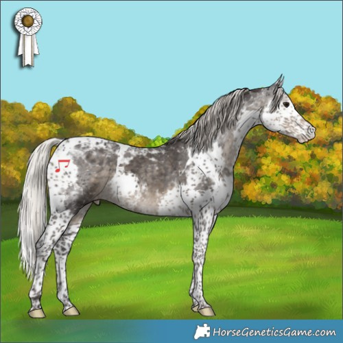 Horse Color:Silver Smoky Black Splash Tobiano Appaloosa 