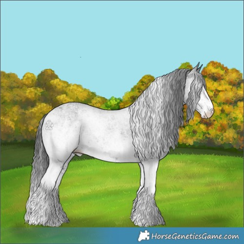 Horse Color:White Spotted Black 