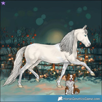 Horse Color:Cremello Dun Tobiano 
