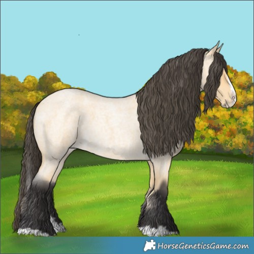Horse Color:Buckskin Roan Splash 