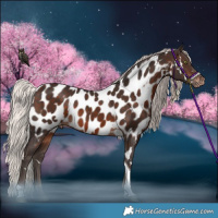 Horse Color:White Spotted Silver Brown Mushroom Tobiano Near Leopard 