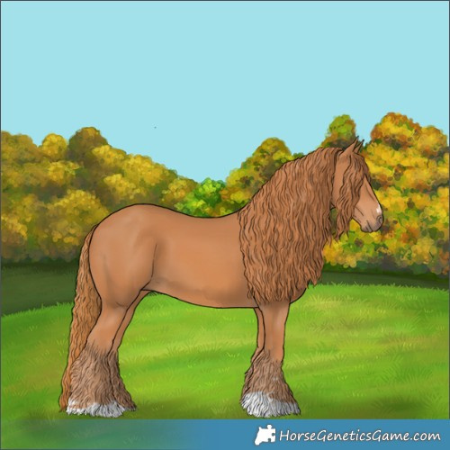 Horse Color:Chestnut 