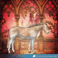 Horse Color:White Spotted Chestnut 