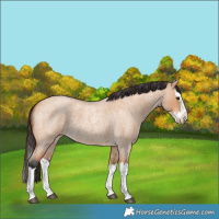 Horse Color:Bay Roan Dun Splash 