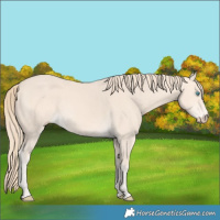 Horse Color:Perlino 