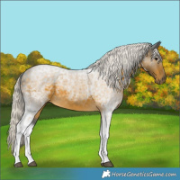 Horse Color:Silver Buckskin 