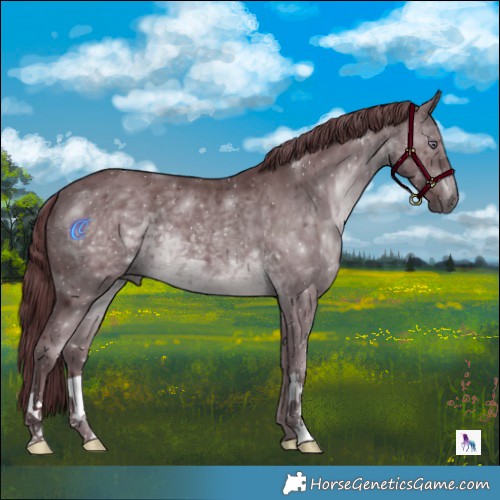 Horse Color:Chocolate Brown Chinchilla