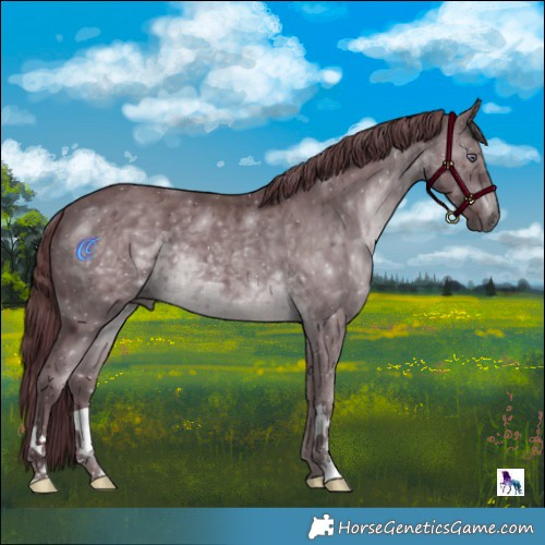 Horse Color:Chocolate Brown Chinchilla 