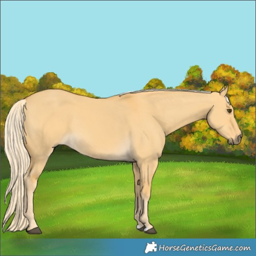 Horse Color:Palomino Dun 