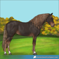 Horse Color:Liver Chestnut  and Liver Chestnut 