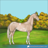 Horse Color:Chocolate Palomino Pearl Tobiano Frame  and Chocolate Palomino Pearl Tobiano Frame 