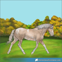 Horse Color:Chocolate Palomino Pearl Tobiano Frame and Chocolate Palomino Pearl Tobiano Frame