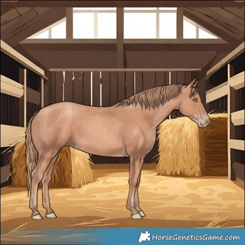 Horse Color:Gold Champagne Rabicano 