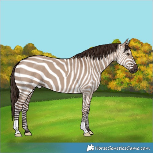 Horse Color:Liver Red Dun