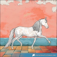 Horse Color:Cremello Appaloosa 