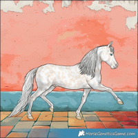 Horse Color:Cremello Near Leopard 