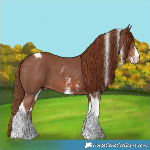 Horse Color:Chestnut Sabino Tobiano
