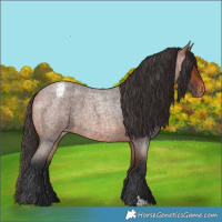 Horse Color:Bay Roan Varnish