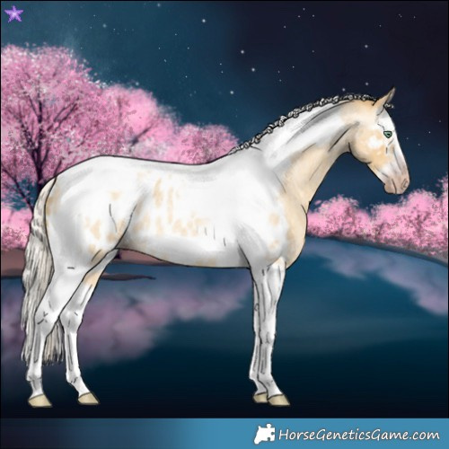 Horse Color:Gray Silver Amber Cream Champagne Roan Dun Splash Tobiano Frame Near Leopard Rabicano 