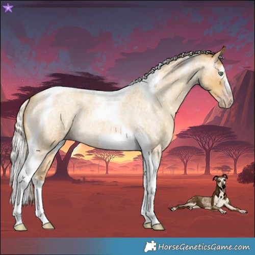 Horse Color:Gray Silver Amber Cream Champagne Roan Dun Splash Tobiano Frame Varnish Rabicano 