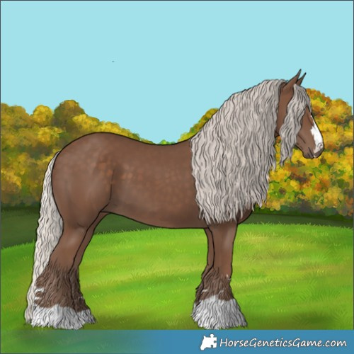 Horse Color:Silver Black 