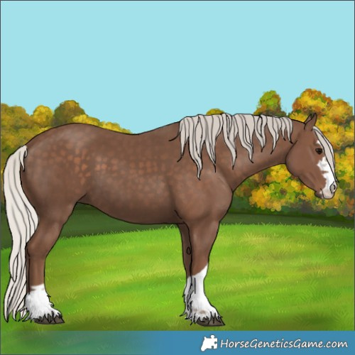 Horse Color:Silver Black 