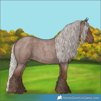Horse Color:Silver Blue Roan