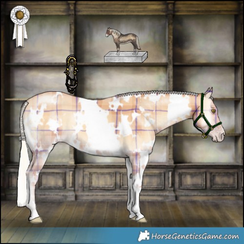 Horse Color:Plaid  White Spotted Silver Amber Champagne Onyx 
