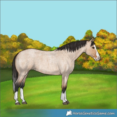Horse Color:Bay Roan Dun Splash 
