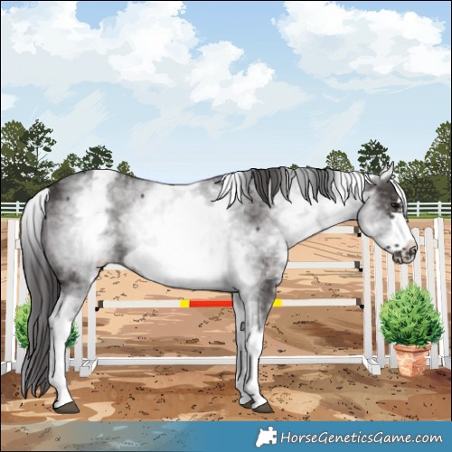 Horse Color:White Spotted Smoky Black Frame