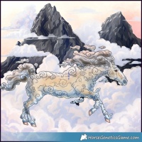 Horse Color:Buckskin Dun Splash 