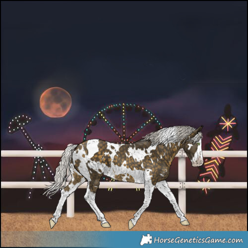 Horse Color:White Spotted Silver Buckskin Splash Tobiano