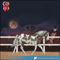 Horse Color:White Spotted Silver Buckskin Splash Tobiano