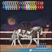 Horse Color:White Spotted Silver Buckskin Splash Tobiano 
