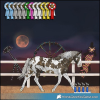 Horse Color:White Spotted Silver Buckskin Splash Tobiano