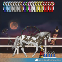 Horse Color:White Spotted Silver Buckskin Splash Tobiano 