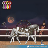Horse Color:White Spotted Silver Buckskin Splash Tobiano 