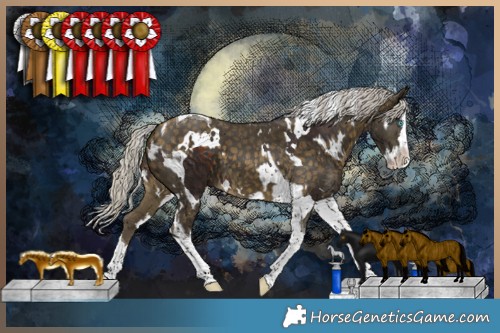 Horse Color:Silver Bay Splash Tobiano  and White Spotted Silver Buckskin Splash Tobiano 